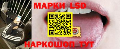 гидра Владимир