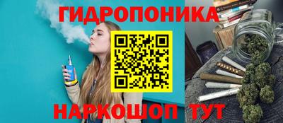 гидра Владимир